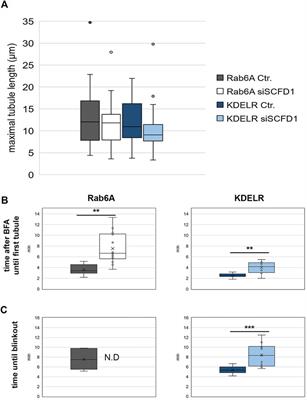 An imaging-based RNA interference screen for modulators of the Rab6-mediated Golgi-to-ER pathway in mammalian cells